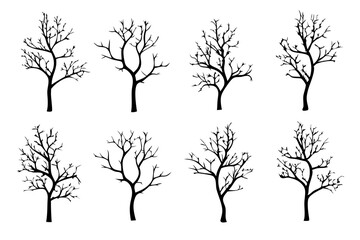 Obraz premium Bare Tree Silhouette on White Background