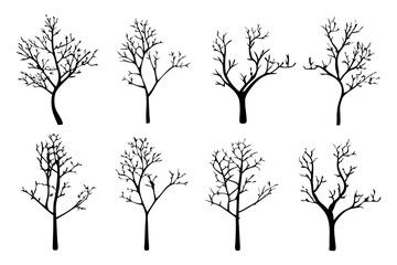 Obraz premium Bare Tree Silhouette on White Background