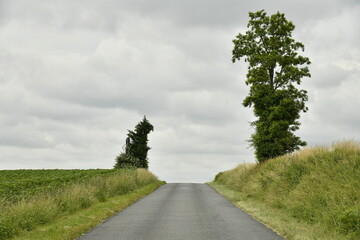 Route de campagne sous un ciel gris près entre Villebois-Lavalette en Charente et le bourg de Fontaine en Dordogne  © Photocolorsteph