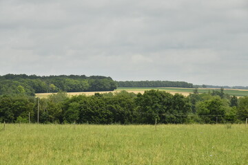 Ciel gris au dessus des bois et prairies près du bourg de Champagne au Périgord Vert  © Photocolorsteph