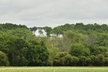 Petite clairière au sommet d'une colline près du bourg de Champagne au Périgord Vert  © Photocolorsteph