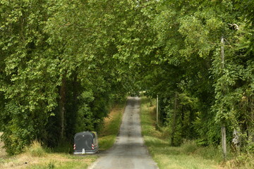 Route de campagne s'enfonçant dans la forêt près du bourg de Champagne au Périgord Vert  © Photocolorsteph