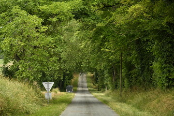 Route de campagne s'enfonçant dans la forêt près du bourg de Champagne au Périgord Vert  © Photocolorsteph