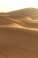 San Dunes Glowing at Golden Hour