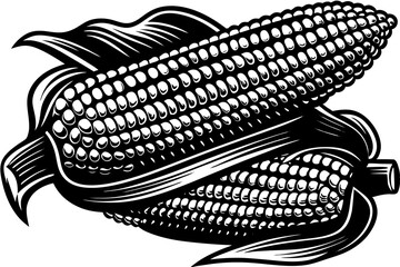 corn on a white background