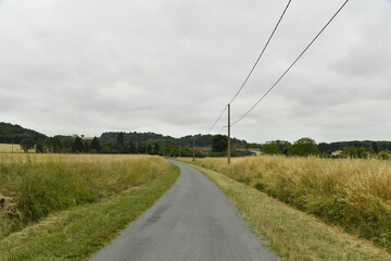 Route de campagne sous un ciel gris près du bourg de Champagne au Périgord Vert  © Photocolorsteph