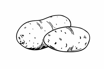 vector illustration of a potato