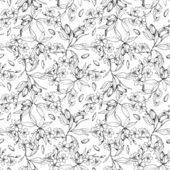 Almond vector seamless pattern hand drawn with ink. Black and white nuts, flowers, branches and leaves. Template for food and drink label design and textile decoration