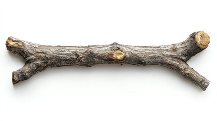 Stick with rough bark and knots, horizontal layout on white background