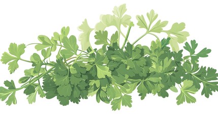 Fresh parsley sprigs arranged in a decorative bunch.
