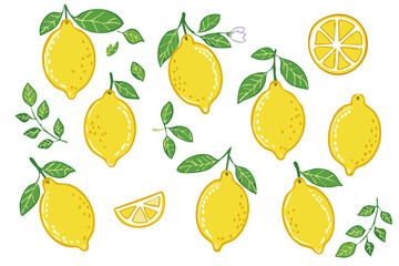 Obraz premium Lemons fruits on branches with leaves and slices vector illustration set. Clipart of summer italian transiterranean citrus fruits on isolated background. For packaging design and ingredients.