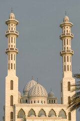 Jamea Alrahman Alraheem is a serene mosque known for its elegant design and peaceful atmosphere, ideal for prayer and reflection.