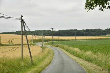 Ligne électrique le long d'une route de campagne sous un ciel gris entre les bourg de Champagne et de Fontaines au Périgord Vert  © Photocolorsteph