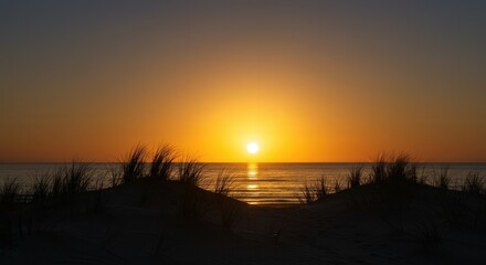 Serene ocean sunset over sand dunes with grasses silhouetted in golden light.