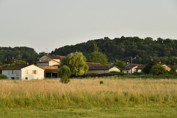 Champ de blé près des fermes en fin de journée au bourg de Champagne au Périgord Vert 