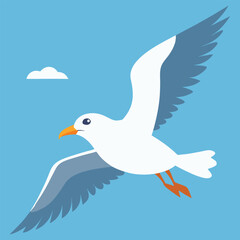 Obraz premium seagull-flying(7).eps