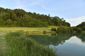Reflet de la forêt dans les eaux d'un étang de retenue près du bourg de Champagne au Périgord Vert  © Photocolorsteph