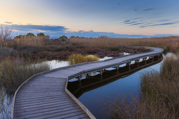 Naklejka premium One of the paths in Marjal de los Moro