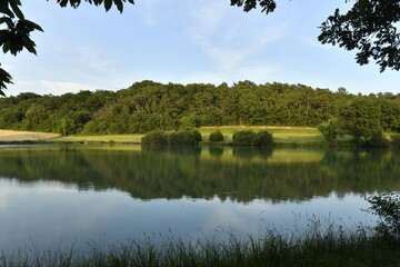 Reflet de la forêt dans les eaux d'un étang de retenue près du bourg de Champagne au Périgord Vert  © Photocolorsteph