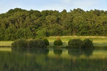 Reflet de la forêt dans les eaux d'un étang de retenue près du bourg de Champagne au Périgord Vert  © Photocolorsteph