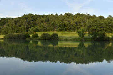 Reflet de la forêt dans les eaux d'un étang de retenue près du bourg de Champagne au Périgord Vert  © Photocolorsteph