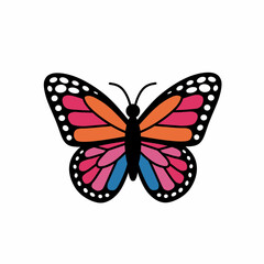 Butterfly vector ilustration