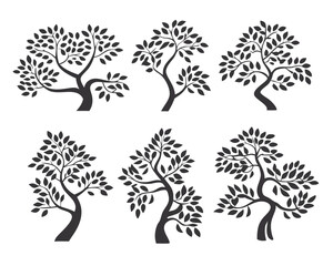 Set of 6 Bonsai Tree Silhouettes icon on  transparent background

