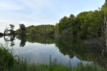 Reflet dans l'étang de la forêt sous la lumière du coucher de soleil près du bourg de Champagne au Périgord Vert 