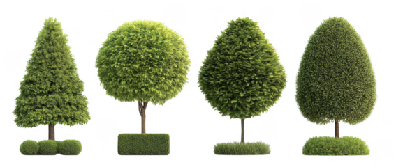 Topiary Garden Decorative Trees Collection Set on Transparent Background