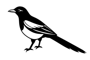 Obraz premium bird silhouette