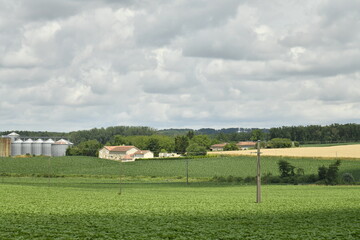 Ciel gris contrastant avec le vert et le jaune des champs près du bourg de Champagne au Périgord Vert  © Photocolorsteph