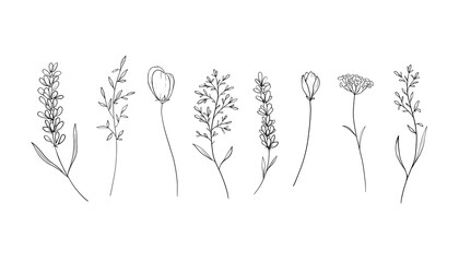 A set of black and white outline drawings of wild flowers, . done in a minimalist sketch style isolated on white background. Ideal for coloring, design and illustrations, print, tattoo.