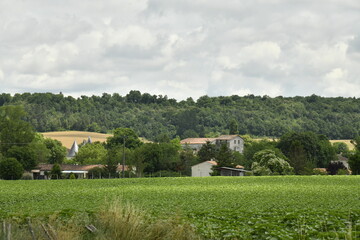 Ciel gris au dessus d'un paysage rural de collines boisées et des champs dans la vallée au bourg de Champagne au Périgord Vert  © Photocolorsteph