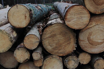 stack of logs