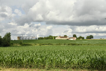 Gros cumulus gris au dessus d'un champ de maïs près du bourg de Champagne au Périgord Vert  © Photocolorsteph