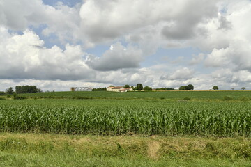 Gros cumulus gris au dessus d'un champ de maïs près du bourg de Champagne au Périgord Vert  © Photocolorsteph