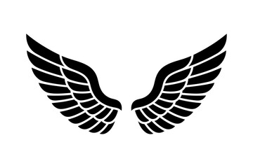 Wings vector illustration angel wings bird wings