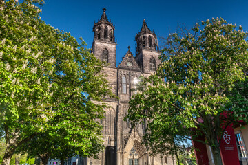 Blühende Kastanien vor dem Magdeburger Dom