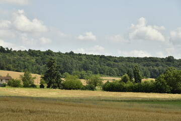 Gradué d'ombres et de lumières de soleil sur un paysage rural près du bourg de Champagne au Périgord Vert  © Photocolorsteph