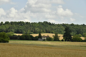 Gradué d'ombres et de lumières de soleil sur un paysage rural près du bourg de Champagne au Périgord Vert  © Photocolorsteph