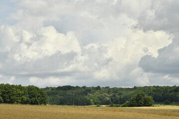 Éclaircie localisée sur une forêt offrant un gradué de verts sur les arbres près du bourg de Champagne au Périgord Vert  © Photocolorsteph