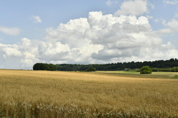 Gradué d'ombres et de lumières de soleil sur un paysage rural près du bourg de Champagne au Périgord Vert 