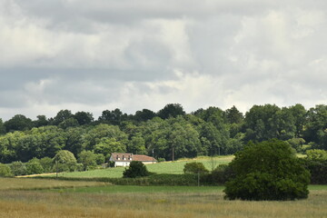 Éclaircie localisée sur une forêt offrant un gradué de verts sur les arbres près du bourg de Champagne au Périgord Vert  © Photocolorsteph