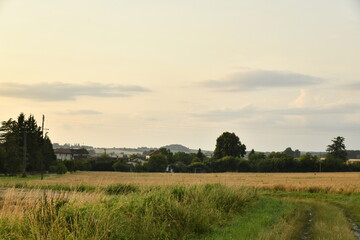Champ de blé endommagé par un orage sous la lumière du couché du soleil près du bourg de Champagne au Périgord Vert  © Photocolorsteph