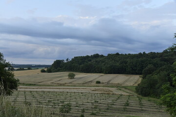 Paysage rural au crépuscule près du bourg de Champagne au Périgord Vert  © Photocolorsteph