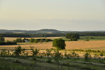 Paysage rural entre champs de blé et bois sous un ciel clair en fin de journée près du bourg de Champagne au Périgord Vert  © Photocolorsteph