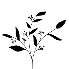 leaves black white 