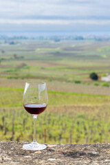 Glass of pinot noir red wine in early spring vineyards near Aloxe-Corton, Burgundy, France