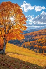 Fototapeta premium Autumnal mountain landscape with vibrant fall colors