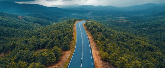 Winding Road Through Lush Forest